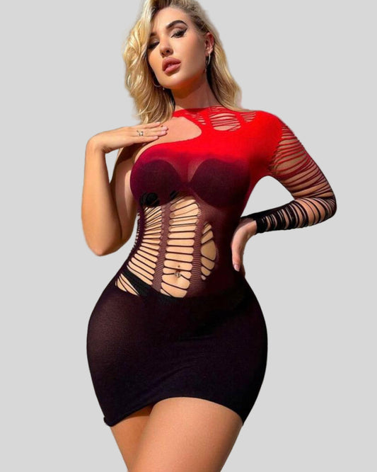Fishnet Dress 2025